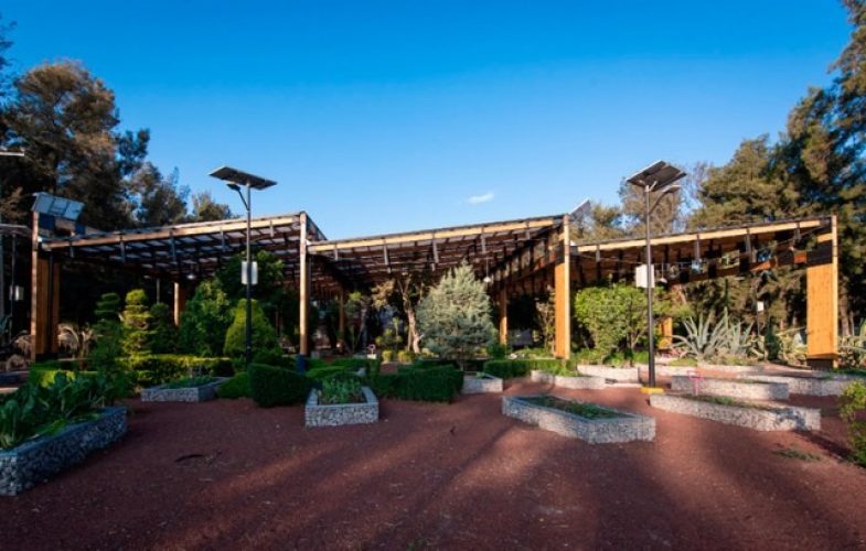 Obra_HuertoUrbano-011