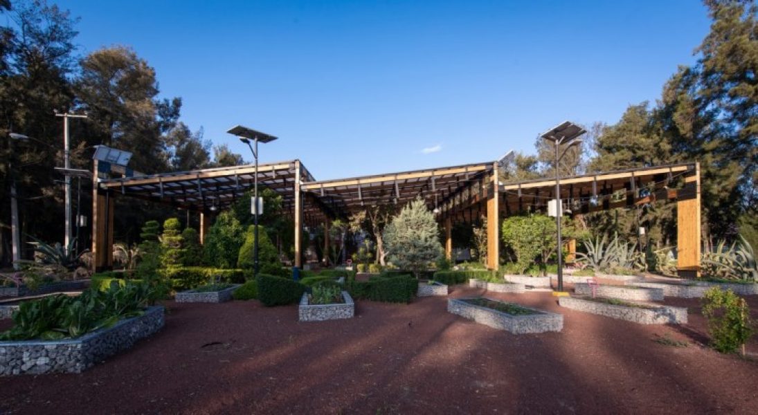 Obra_HuertoUrbano-10