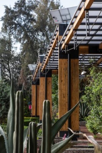 Obra_HuertoUrbano-11