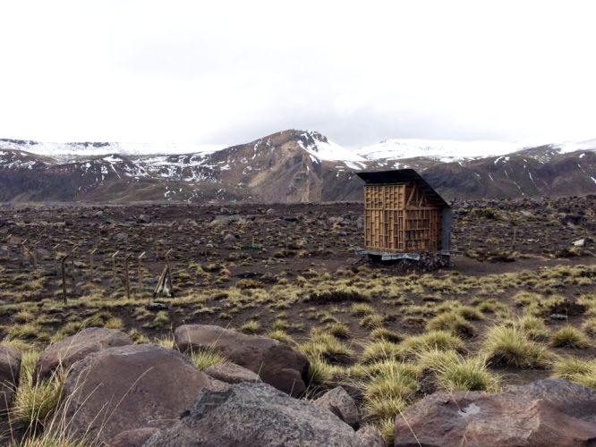 Obra_Refugio para el errante    4