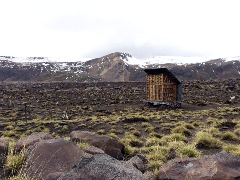 Obra_Refugio para el errante    4