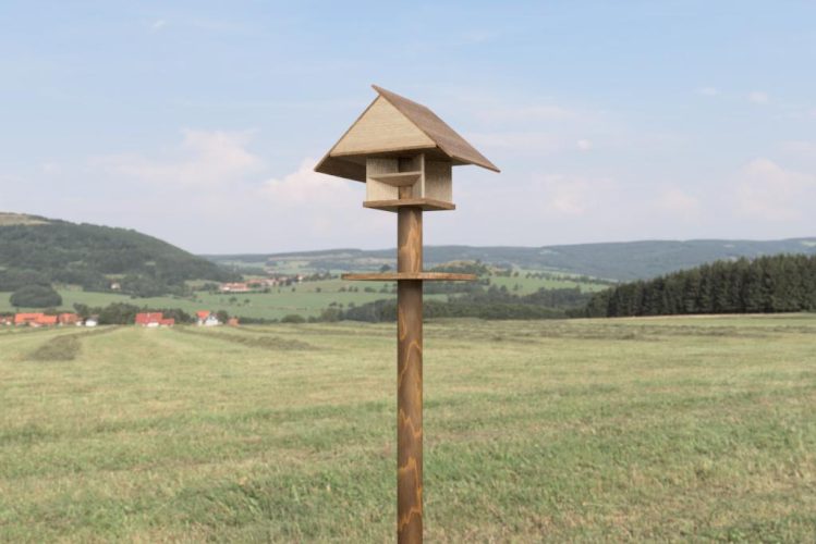 Ornito-Punto-Preview