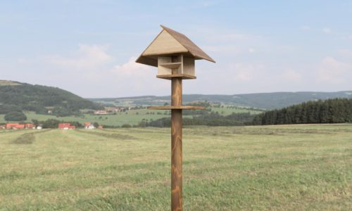 Ornito-Punto-Preview