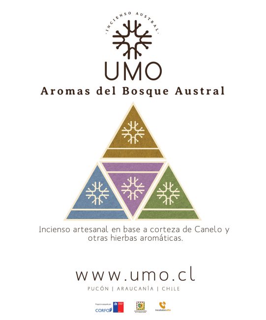 PENDON COMPOCICION LOGOS