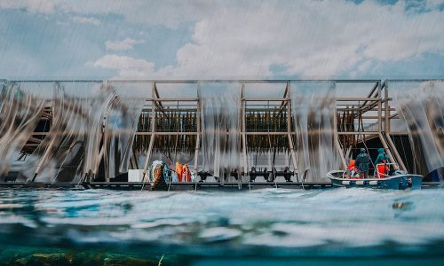 PORTADA-1er-lugar-XIV-concurso-diseño-M21-2025-DIS495_Imagen-Principal-scaled