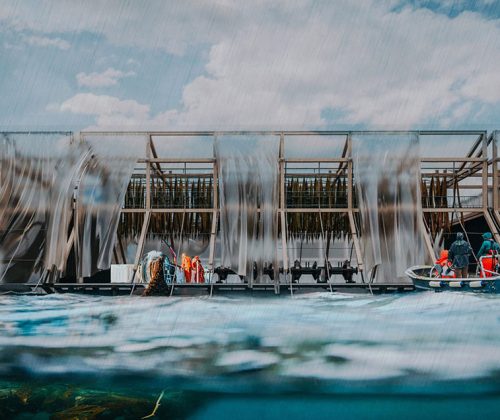 PORTADA-1er-lugar-XIV-concurso-diseño-M21-2025-DIS495_Imagen-Principal-scaled