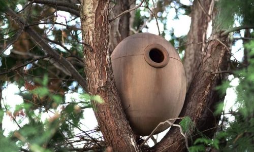_PORTADA - You-will-Love-Domik-Ptashki-Birdhouse-by-Igor-Dydykin_5-850x600