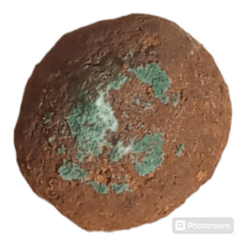 Photoroom-20240806_154712