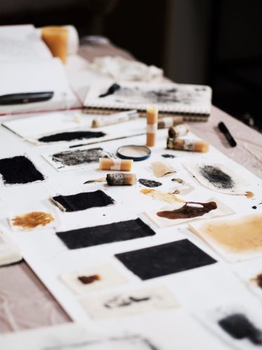 Pigment Development