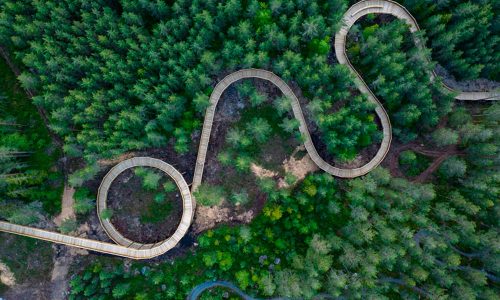 Portada-1-Inauguran-sendero-de-madera-con-diseño-universal-a-15-metros-sobre-el-suelo
