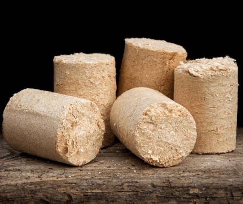 Portada-Biomasa-como-energía