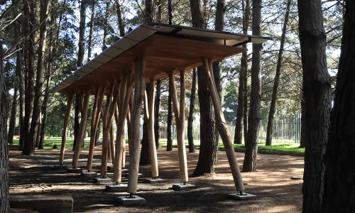 Portada-EL-BOSQUE-DOMESTICADO