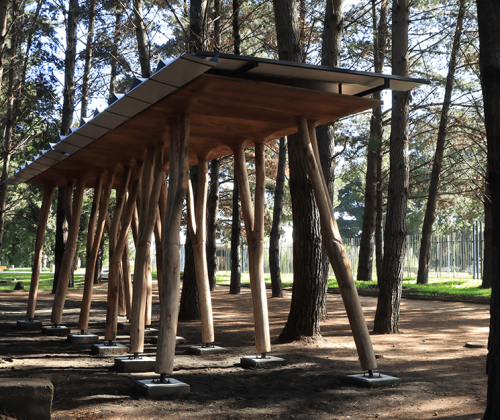 Portada-EL-BOSQUE-DOMESTICADO