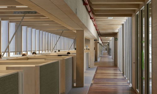 Portada-El-marco-que-impulsa-la-construcción-en-madera-en-Chile