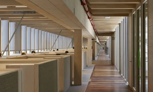 Portada-El-marco-que-impulsa-la-construcción-en-madera-en-Chile