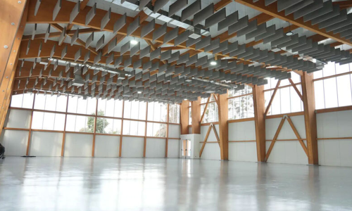 Portada-Gimnasio-Teletón