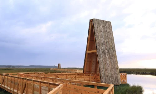 Portada Madera sobre el humedal, cómo se construyó la pasarela Monkul Kai Kai