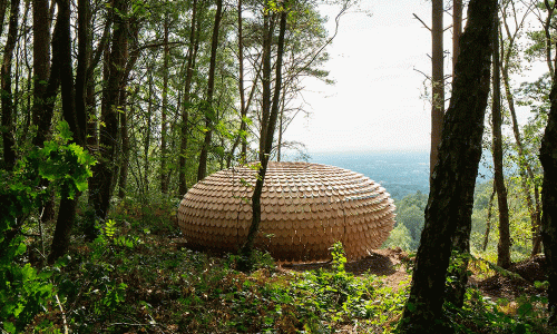 Portada-Perspectives-El-pabellón-de-tejas-de-cedro-que-redefine-el-paisaje-inglés