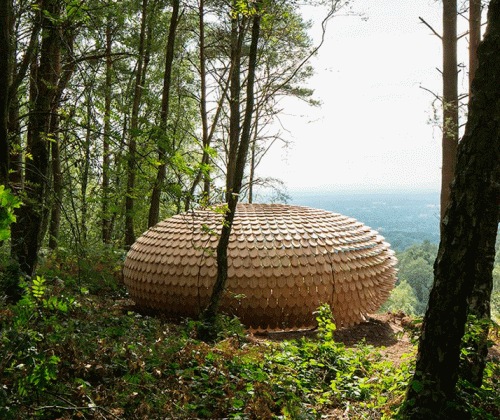 Portada-Perspectives-El-pabellón-de-tejas-de-cedro-que-redefine-el-paisaje-inglés