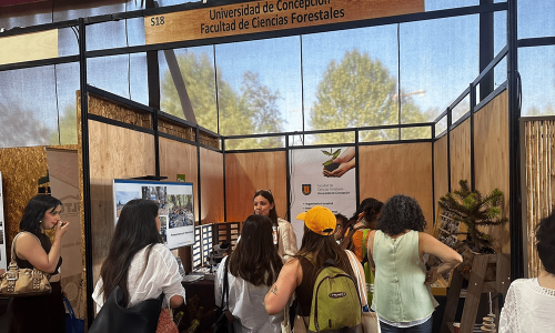 Portada Udec