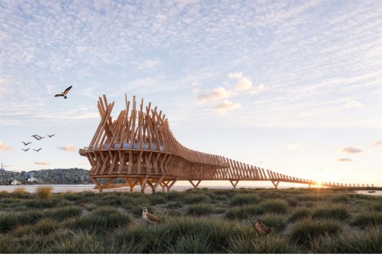 Puente-Mirador-de-la-Avifauna