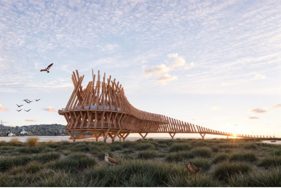 Puente-Mirador-de-la-Avifauna