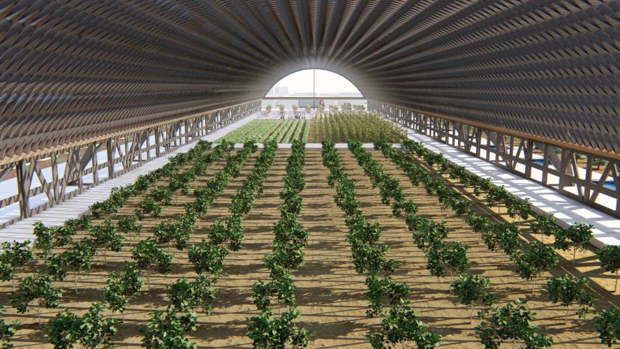 RENDER INTERIOR CULTIVOS