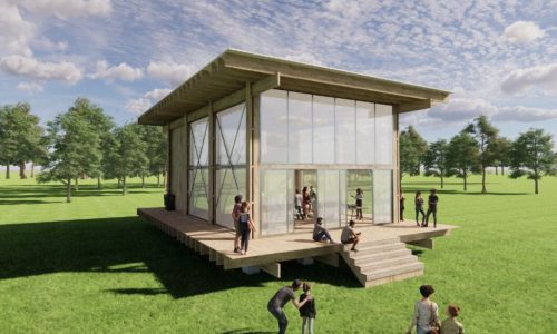 Raiz-pabellon-efimero