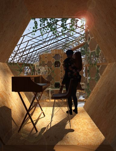 Render Capsulas editado