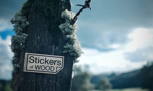 Reportaje-Stickers-of-wood-1