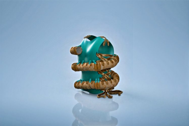 Rodent-loop-2-DIS2528