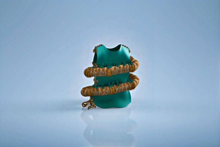 Rodent-loop-3-DIS2528