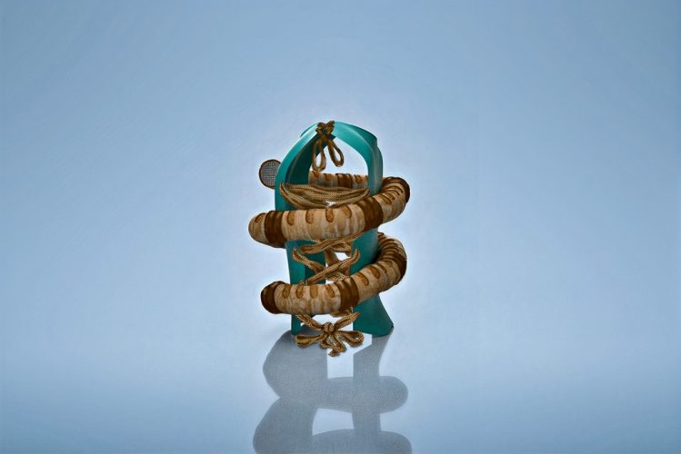 Rodent-loop-5-DIS2528