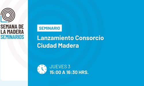 Lanzamiento Consorcio Ciudad Madera
