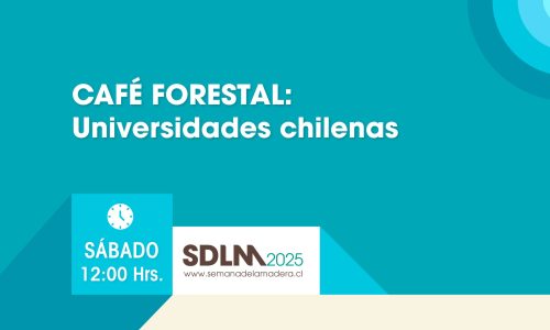 Innovación en madera