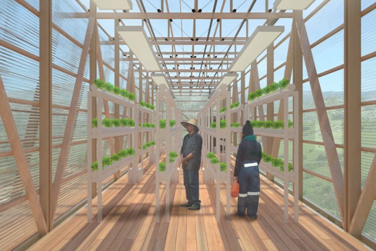 Sala de invernadero-ARQ5929