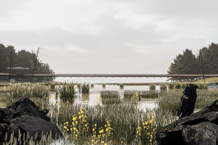 Seleccionado-postulacion