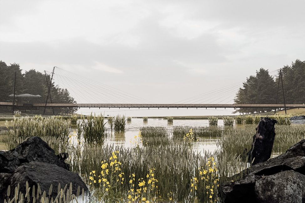 Seleccionado-postulacion