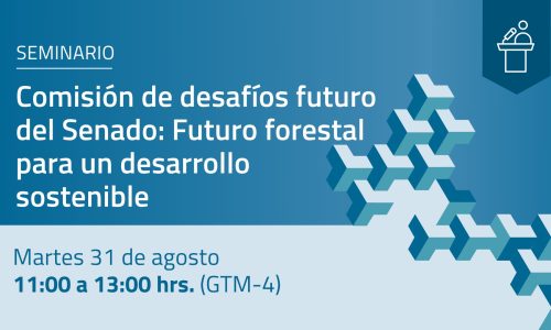 Comisión de Desafíos del Futuro, ciencia, tecnología e innovación