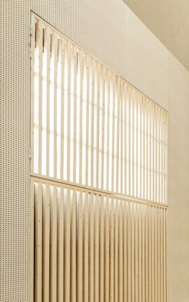 Tuupala detail - concert-sports hall