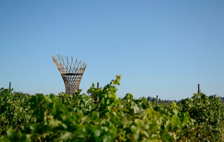 U_Talca_Vigilante_del_Maule