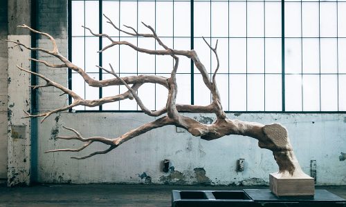 Video_SecondNature-Sebastian-Errazuriz