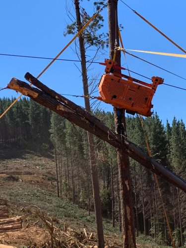 WhatsApp-Image-2022-08-13-at-9.28.54-AM