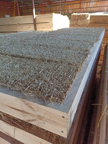 WhatsApp-Image-2022-08-16-at-6.30.10-PM