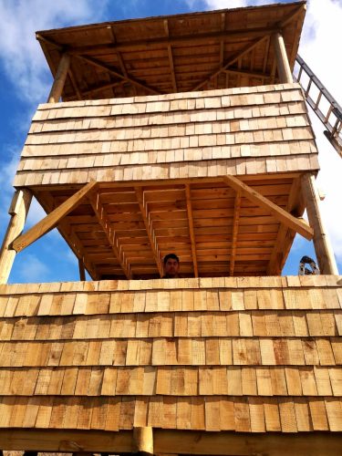 WhatsApp-Image-2023-05-18-at-2.43.00-PM