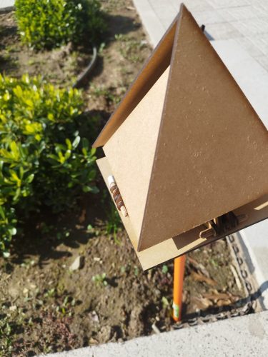 WhatsApp-Image-2024-07-08-at-13.51.05