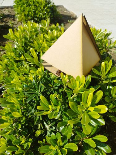 WhatsApp-Image-2024-07-08-at-13.51.07