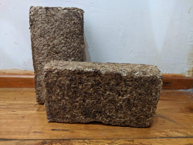 WhatsApp-Image-2024-07-31-at-8.31.06-PM