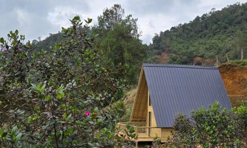 WhatsApp-Image-2025-04-03-at-6.11.19-PM