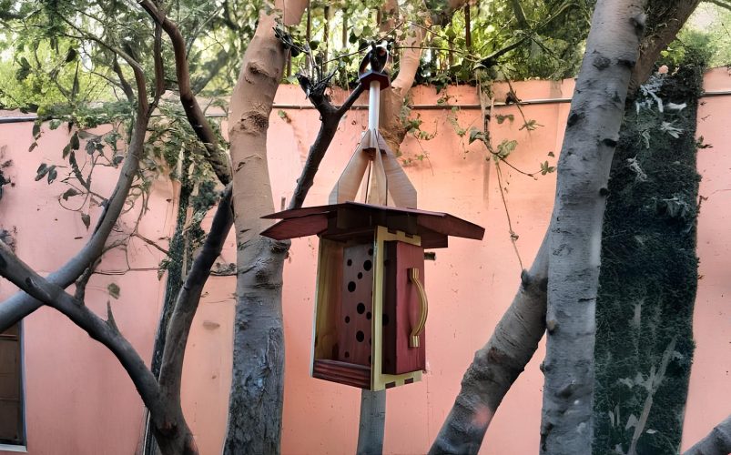 WhatsApp-Image-2025-07-08-at-9.13.01-PM-1